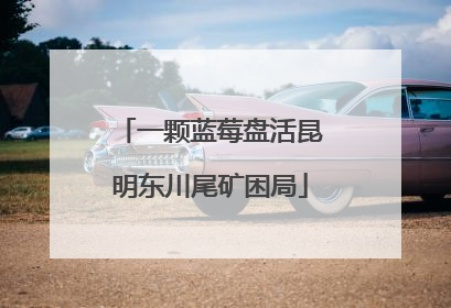 一颗蓝莓盘活昆明东川尾矿困局