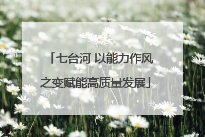 七台河 以能力作风之变赋能高质量发展