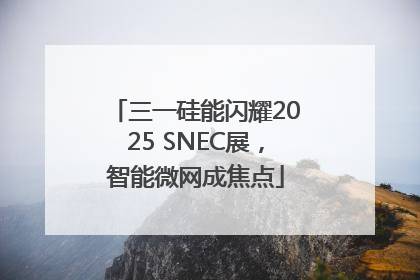 三一硅能闪耀2025 SNEC展，智能微网成焦点