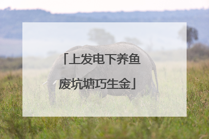 上发电下养鱼 废坑塘巧生金