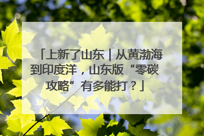 上新了山东｜从黄渤海到印度洋，山东版“零碳攻略”有多能打？