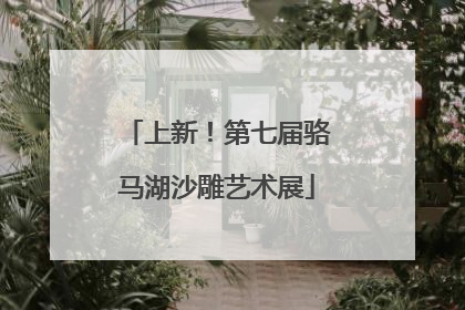 上新！第七届骆马湖沙雕艺术展