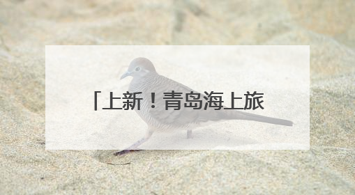 上新！青岛海上旅游新业态进一步丰富，到这里潜水！