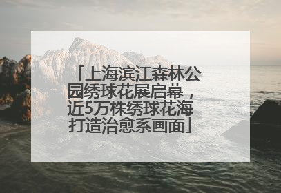 上海滨江森林公园绣球花展启幕，近5万株绣球花海打造治愈系画面
