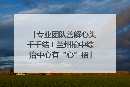 专业团队善解心头千千结！兰州榆中综治中心有“心”招