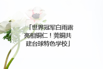 世界冠军白雨露亮相铜仁！莞铜共建台球特色学校