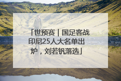 世预赛｜国足客战印尼25人大名单出炉，刘若钒落选