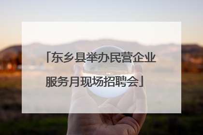 东乡县举办民营企业服务月现场招聘会
