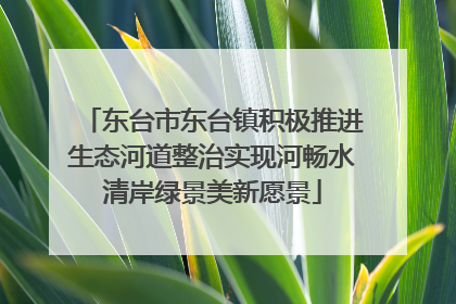 东台市东台镇积极推进生态河道整治实现河畅水清岸绿景美新愿景