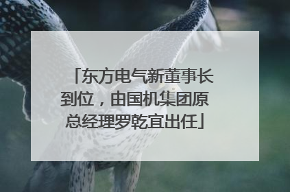 东方电气新董事长到位，由国机集团原总经理罗乾宜出任