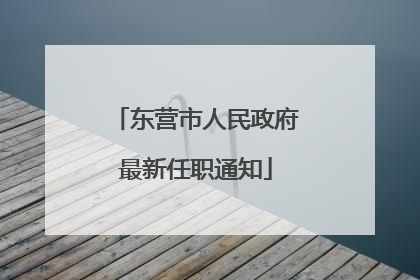 东营市人民政府最新任职通知