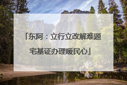 东阿：立行立改解难题 宅基证办理暖民心