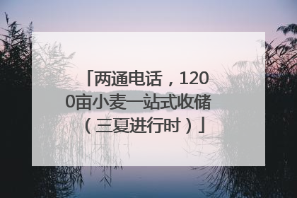 两通电话，1200亩小麦一站式收储（三夏进行时）