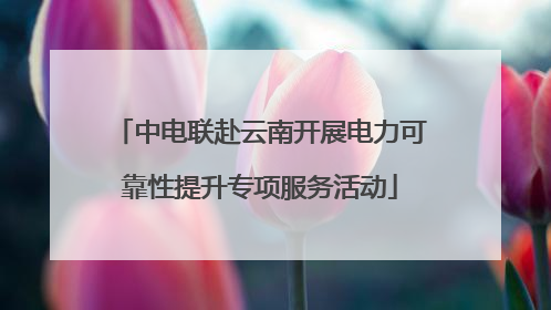 中电联赴云南开展电力可靠性提升专项服务活动