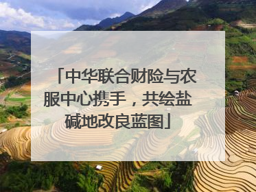 中华联合财险与农服中心携手，共绘盐碱地改良蓝图