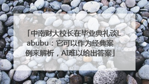 中南财大校长在毕业典礼谈Labubu：它可以作为经典案例来解析，AI难以给出答案
