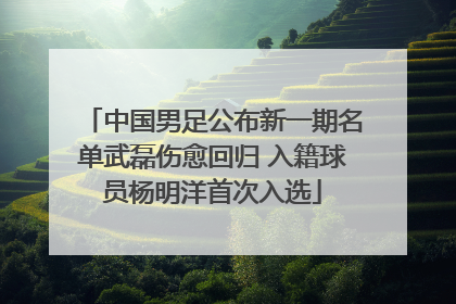 中国男足公布新一期名单武磊伤愈回归 入籍球员杨明洋首次入选