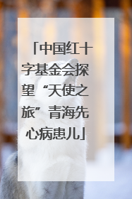 中国红十字基金会探望“天使之旅”青海先心病患儿