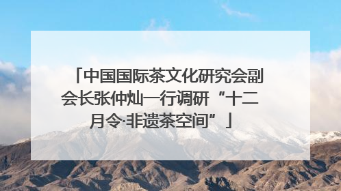 中国国际茶文化研究会副会长张仲灿一行调研“十二月令·非遗茶空间”