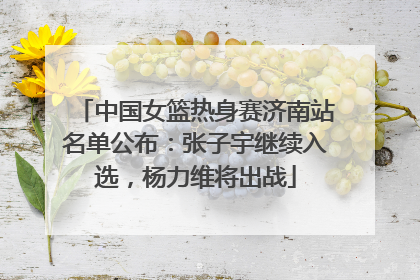 中国女篮热身赛济南站名单公布：张子宇继续入选，杨力维将出战