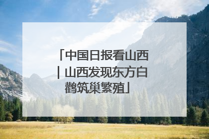中国日报看山西｜山西发现东方白鹳筑巢繁殖