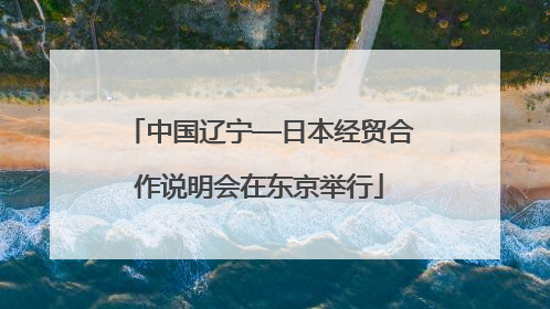 中国辽宁—日本经贸合作说明会在东京举行