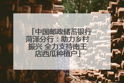 中国邮政储蓄银行菏泽分行：助力乡村振兴 全力支持南王店西瓜种植户