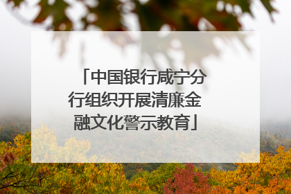 中国银行咸宁分行组织开展清廉金融文化警示教育