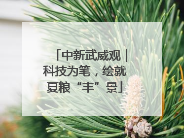 中新武威观｜科技为笔，绘就夏粮“丰”景