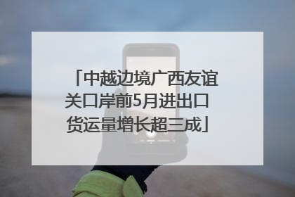 中越边境广西友谊关口岸前5月进出口货运量增长超三成