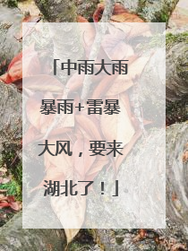 中雨大雨暴雨+雷暴大风，要来湖北了！