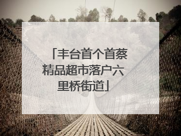 丰台首个首蔡精品超市落户六里桥街道