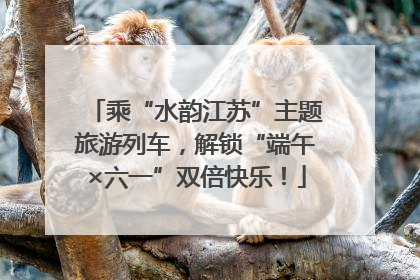 乘“水韵江苏”主题旅游列车，解锁“端午×六一”双倍快乐！