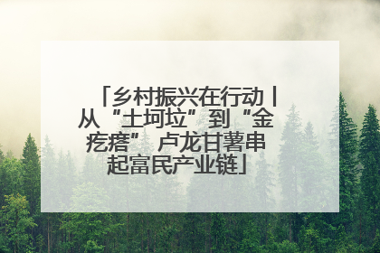 乡村振兴在行动丨从“土坷垃”到“金疙瘩” 卢龙甘薯串起富民产业链