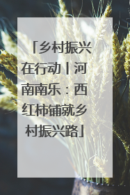 乡村振兴在行动丨河南南乐：西红柿铺就乡村振兴路