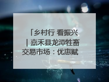 乡村行 看振兴｜嘉禾县龙潭牲畜交易市场：优惠赋能促交易 乡村振兴添动能