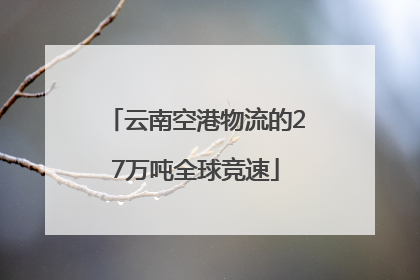 云南空港物流的27万吨全球竞速