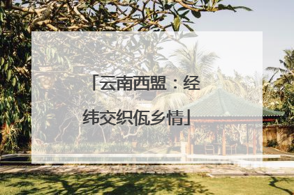 云南西盟：经纬交织佤乡情