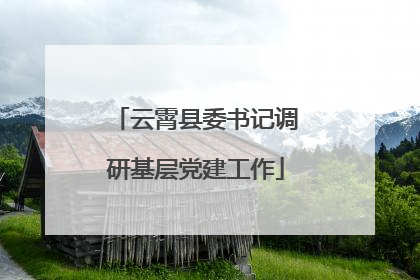 云霄县委书记调研基层党建工作