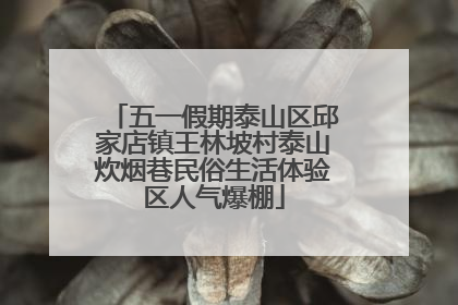 五一假期泰山区邱家店镇王林坡村泰山炊烟巷民俗生活体验区人气爆棚