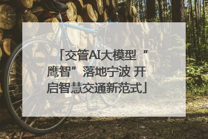 交管AI大模型“鹰智”落地宁波 开启智慧交通新范式