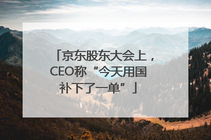 京东股东大会上，CEO称“今天用国补下了一单”