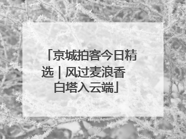 京城拍客今日精选｜风过麦浪香 白塔入云端