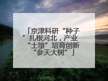 京津科研“种子”扎根河北，产业“土壤”培育创新“参天大树”