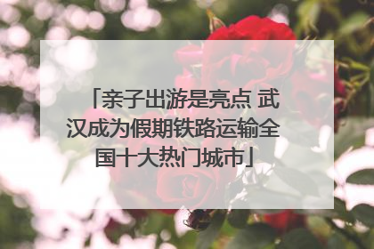 亲子出游是亮点 武汉成为假期铁路运输全国十大热门城市