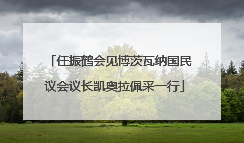 任振鹤会见博茨瓦纳国民议会议长凯奥拉佩采一行