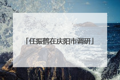 任振鹤在庆阳市调研