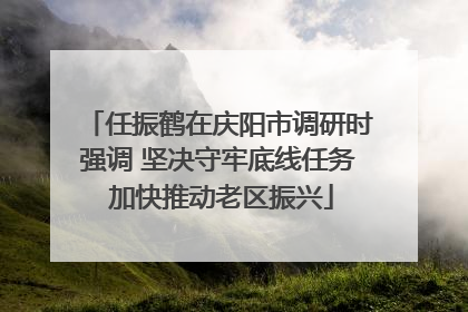 任振鹤在庆阳市调研时强调 坚决守牢底线任务 加快推动老区振兴