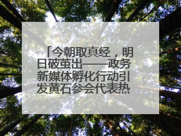 今朝取真经，明日破茧出——政务新媒体孵化行动引发黄石参会代表热烈反响