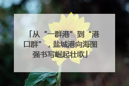 从“一群港”到“港口群”，盐城港向海图强书写崛起壮歌